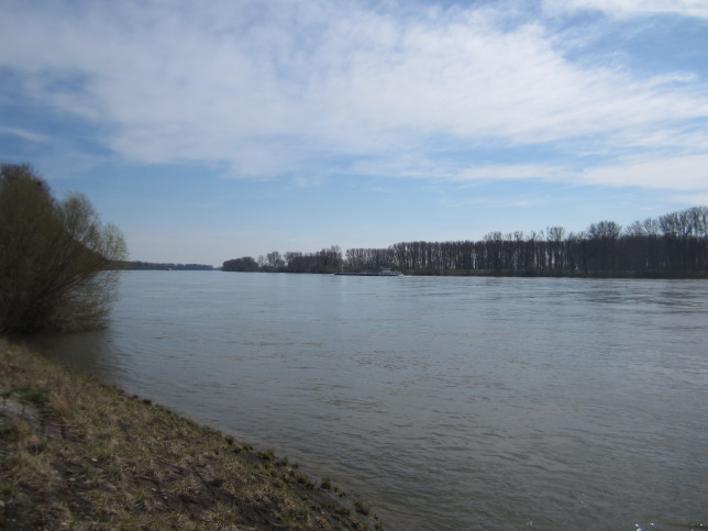 Blick auf den (neuen) Rhein Richtung Rheinland Pfalz (Bild: Klaus Dapp)