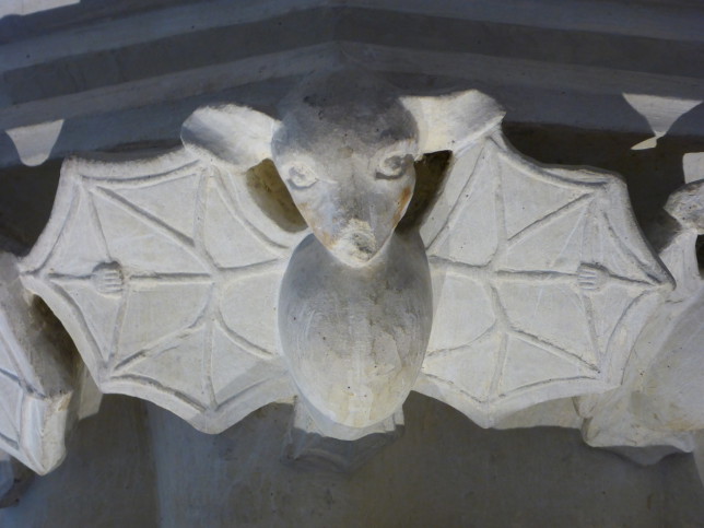 Fledermaus im Kreuzgang der Kathetrale in Tours (Bild: Klaus Dapp)
