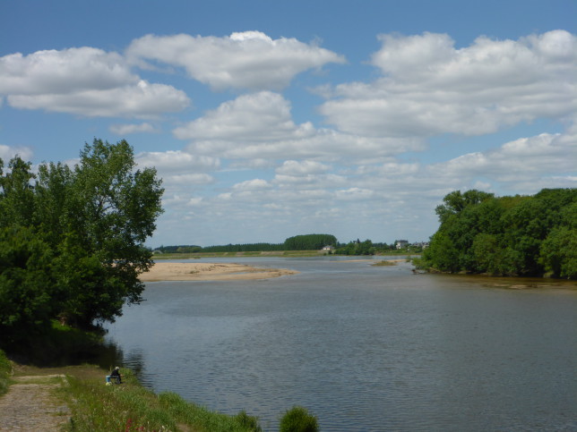 Loire bei Chênehutte-Trèves-Cunault (Bild: Klaus Dapp)
