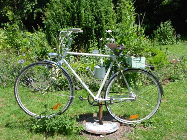 Fahrrad im Kurpark in Bad Salzhausen (Bild: Klaus Dapp)