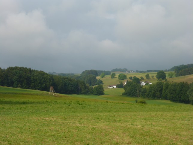 Hügelige Landschaft im Allgäu (Bild: Klaus Dapp)