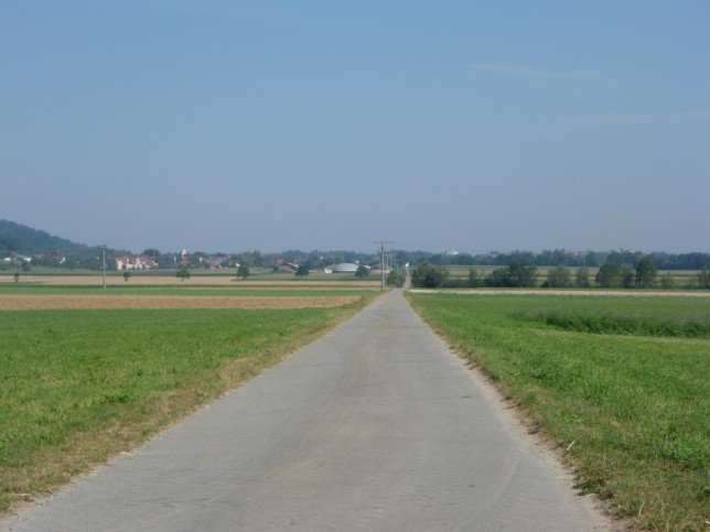Blick Richtung Wilhelmsdorf (Bild: Klaus Dapp)