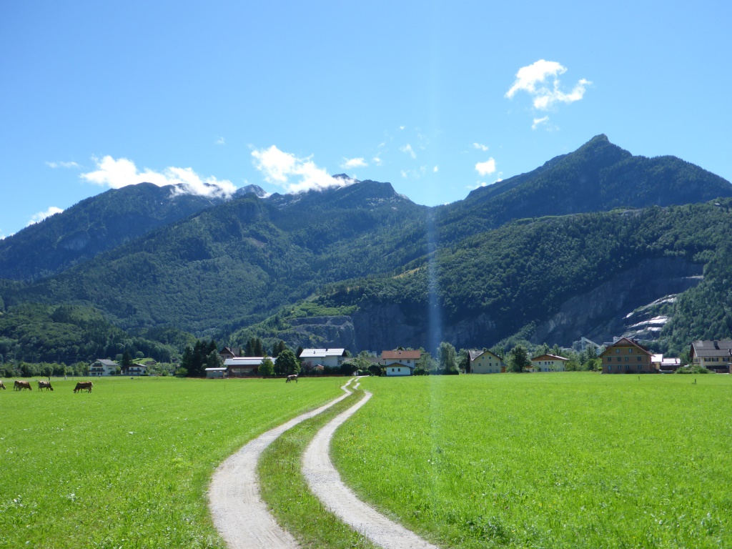 Wiesen an der Salzach vor Golling (Bild: Klaus Dapp)