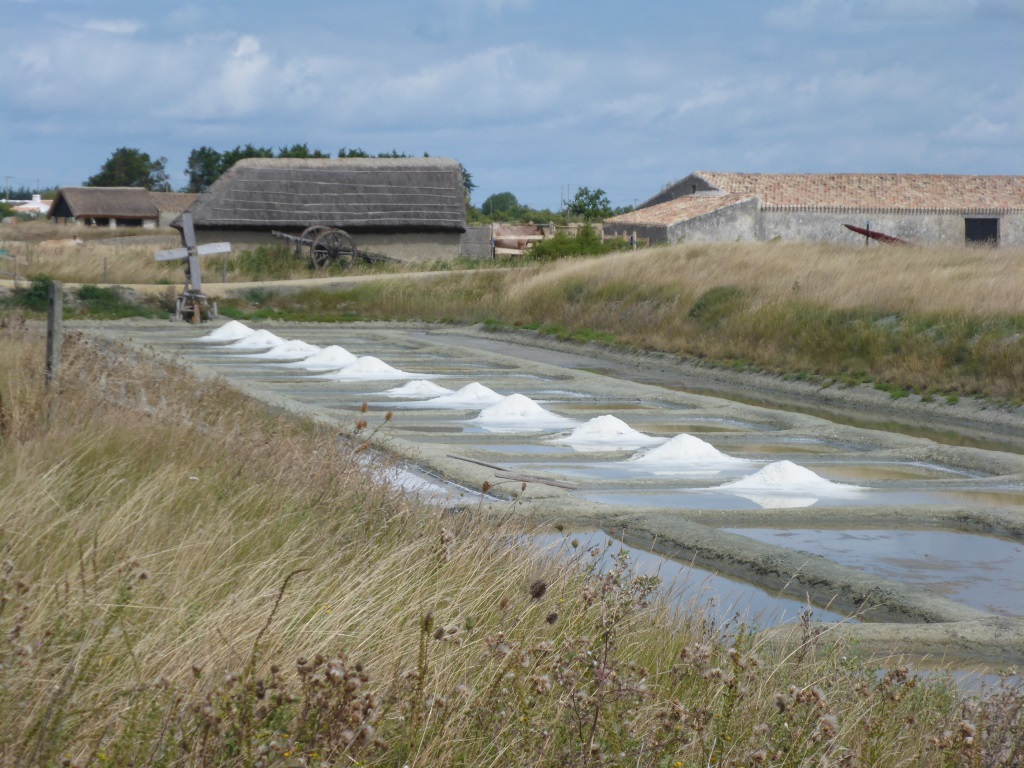 Salzgewinnung bei La Barre-de-Monts (Bild: Klaus Dapp)