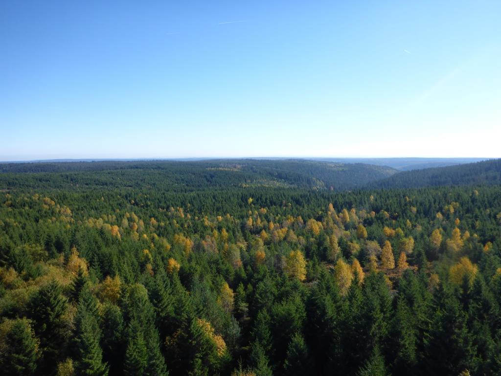 Blick vom Hohlohturm in den Nordschwarzwald (Bild: Klaus Dapp)