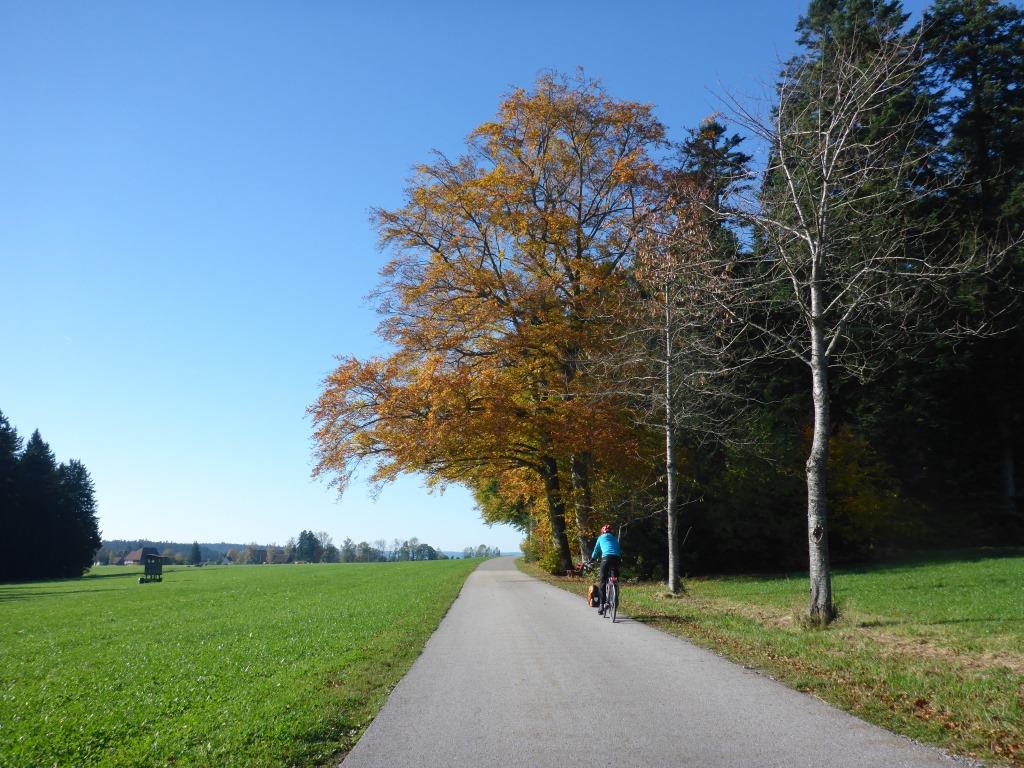Herbstlicher Feldrand oberhalb des Kinzigtals (Bild: Klaus Dapp)