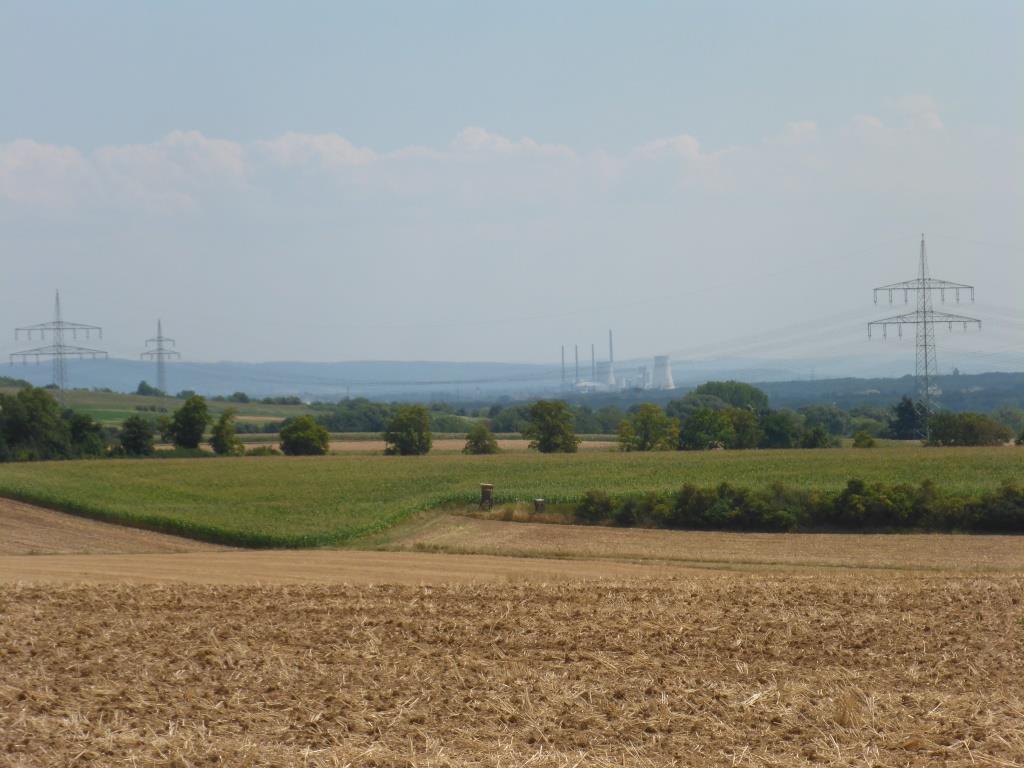 Blick zum Kohlekraftwerk Staudinger (Bild: Klaus Dapp)