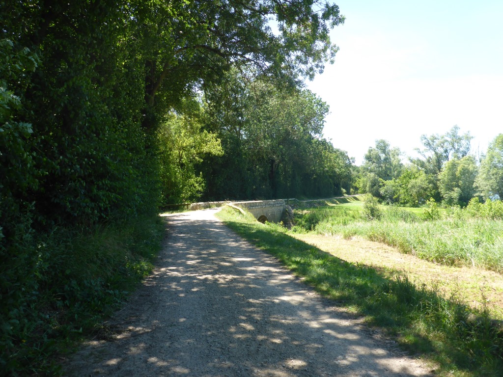 Schotterweg entlang der Saône (Bild: Klaus Dapp)