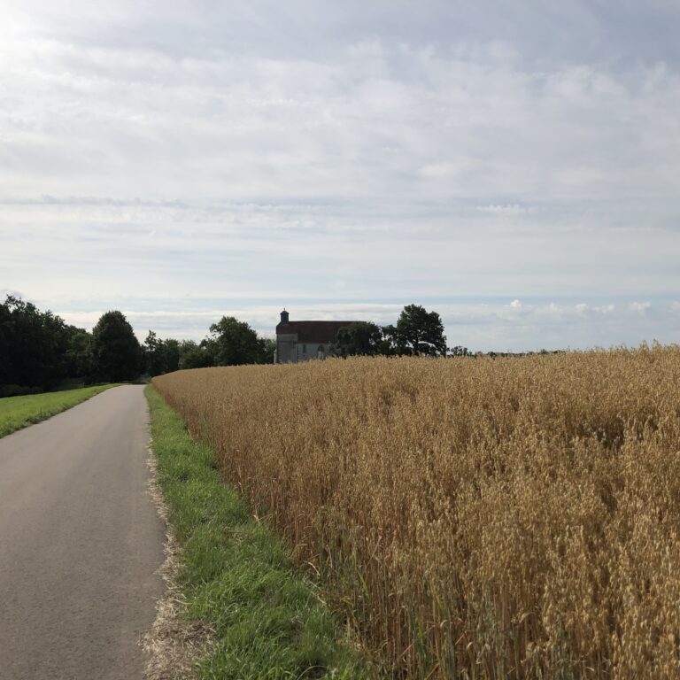 Kunigundenkapelle im  Auber Ortsteil Burgerroth (Bild: Klaus Dapp) 