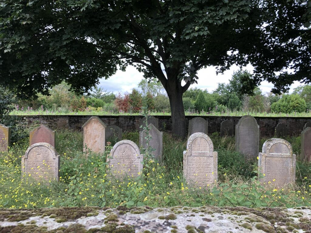 Jüdischer Friedhof in Lambsheim (Bild: Klaus Dapp)