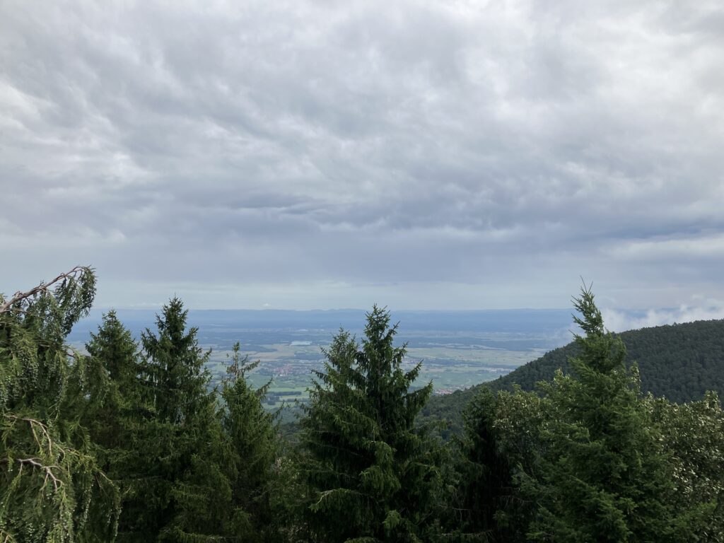Ausblick vom Mont Sainte Odile (Bild: Klaus Dapp)
